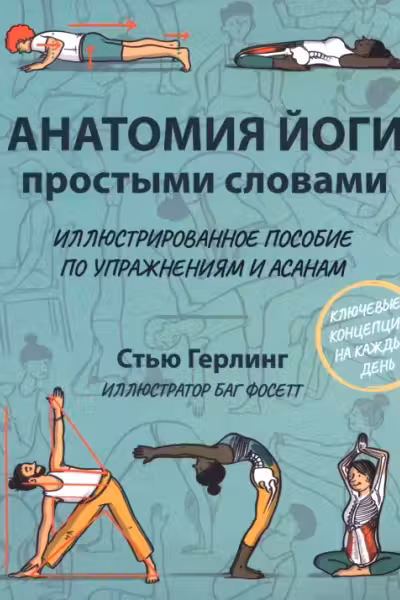 Анатомия йоги простыми словами
