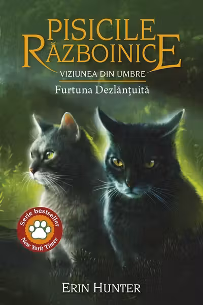 Viziunea din umbre - Furtuna Dezlantuita