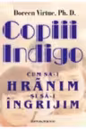 Copiii Indigo cum sa-i hranim si sa-i ingrijim