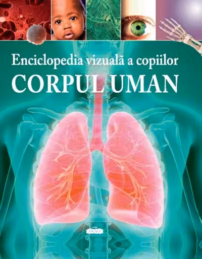 Corpul uman
