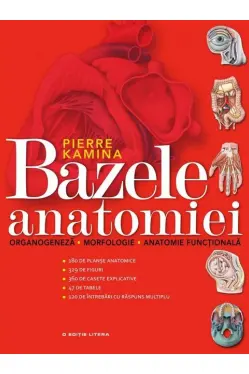 Bazele anatomiei