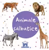 Animale salbatice. Carti pliate