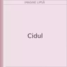 Cidul