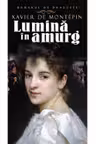 Romanul de dragoste. Lumina in amurg