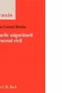 Masurile asiguratorii in procesul civil