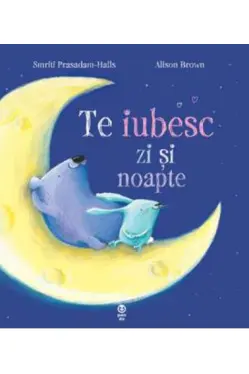 Te iubesc zi si noapte