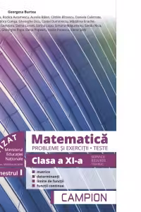 Matematica. Probleme si exercitii. Teste. Clasa a XI-a. Semestrul I. Servicii, resurse, tehnic