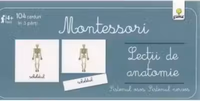 Lecții de anatomie. Sistemul osos. Sistemul nervos