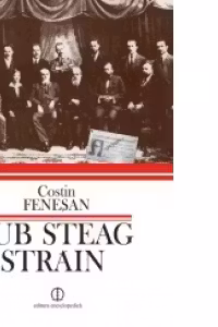 Sub steag strain. Comunistii si Partidul Comunist din Romania in arhiva Kominternului (1919-1924)