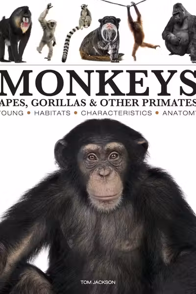 Monkeys