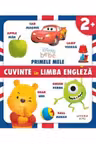 Disney Bebe. Primele mele cuvinte in limba engleza
