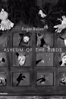 Asylum of the Birds