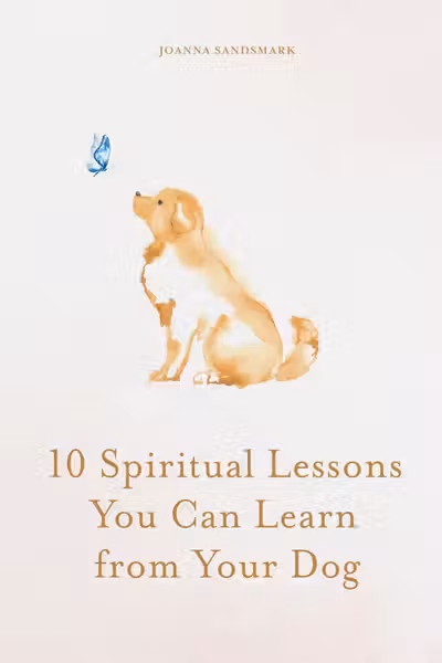 10 Spiritual Lessons You Can Learn from Your Dog
