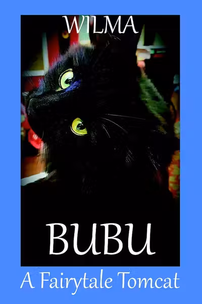 Bubu, a Fairytale Tomcat