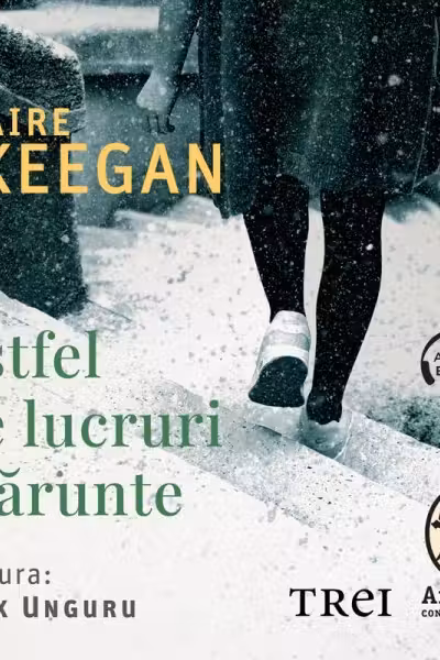 Astfel de lucruri mărunte (audiobook)