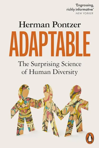 Adaptable