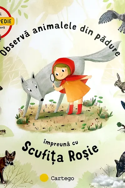 Observa animalele din padure impreuna cu Scufita Rosie