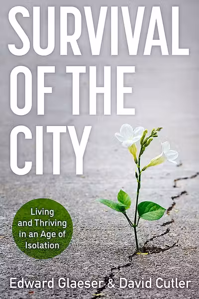 Survival of the City