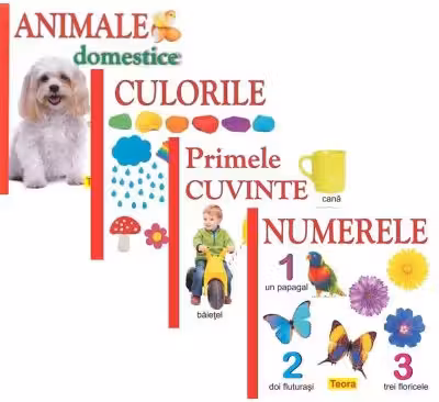 Pachet 4 carti pentru copii, culorile, animele domestice, numerele, primele cuvinte