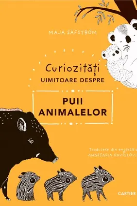 Curiozitati uimitoare despre puii animalelor