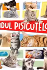 Ghidul pisicuțelor
