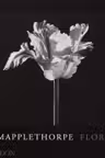 Mapplethorpe Flora