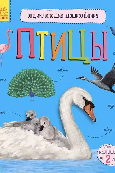 Энциклопедия дошкольника: Птицы