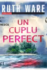 Un cuplu perfect (audiobook)