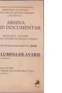 Lumina de avarie