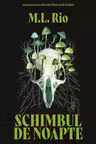 Schimbul de noapte