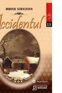 Accidentul