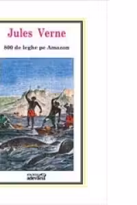 800 leghe pe Amazon