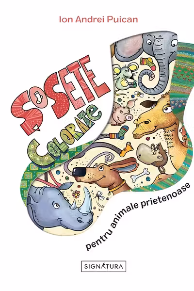 Sosete colorate de purtat tot timpul