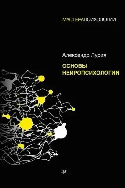 Основы нейропсихологии