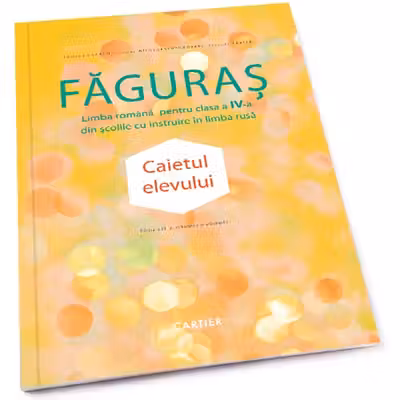 Faguras, clasa a 4-a