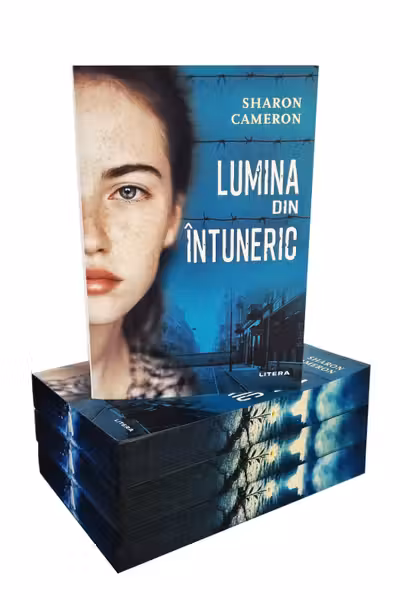 LUMINA DIN INTUNERIC.