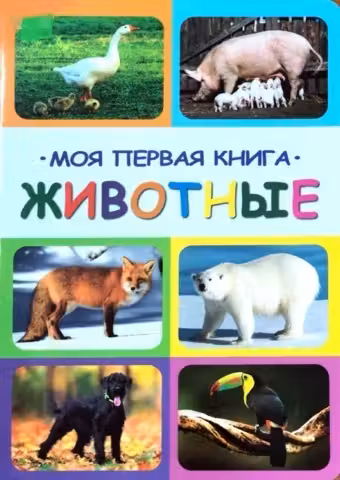 Моя первая книга животные