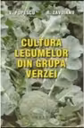Cultura legumelor din grupa verzei