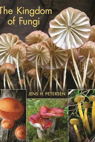 The Kingdom of Fungi
