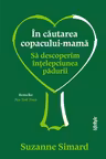 In cautarea copacului-mama