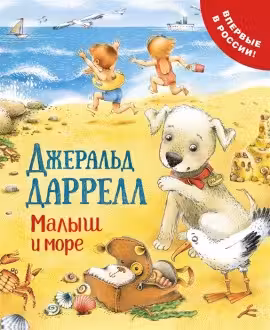 Малыш и море