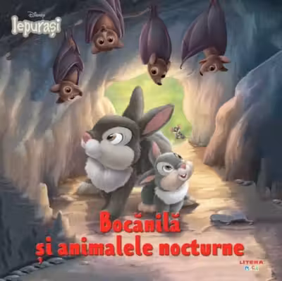 Bocanila si animalele nocturne