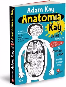 Anatomia lui Kay