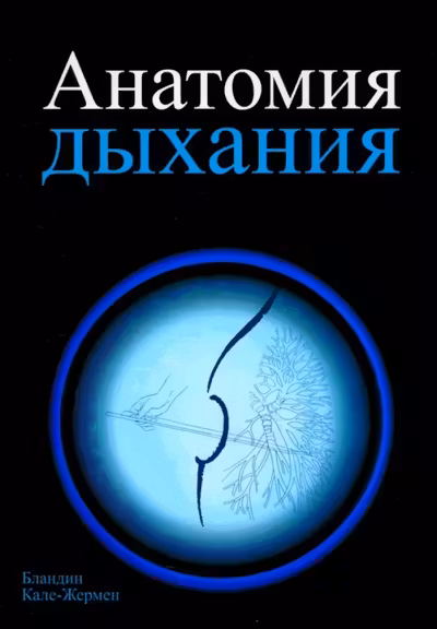 Анатомия дыхания
