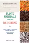 Plante medicinale pentru boli comune.