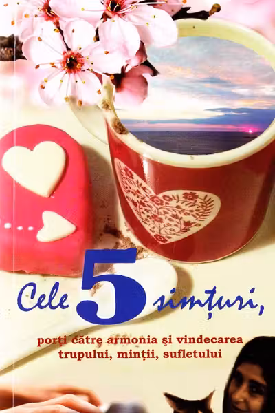 Cele 5 simțuri