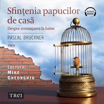 Sfințenia papucilor de casă (audiobook)
