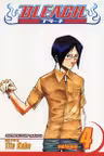 Bleach Vol. 4