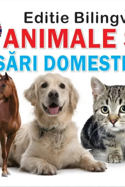 Animale si pasari domestice