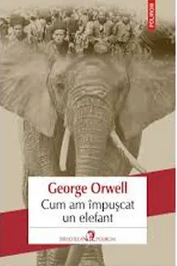 Cum am impuscat un elefant